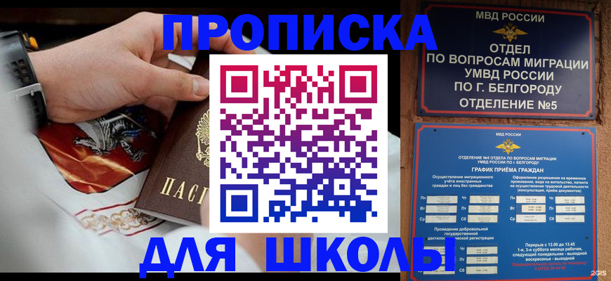 пропишу в квартире в Краснознаменске